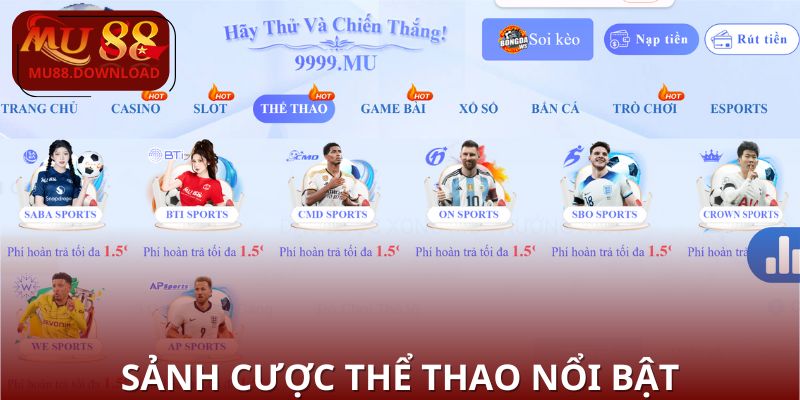 Danh sách các bộ môn và sảnh cược phổ biến cho người chơi