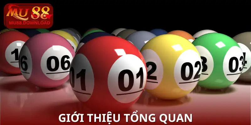 Giới thiệu tổng quan