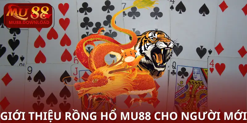 Giới thiệu Rồng Hổ MU88 cho người mới