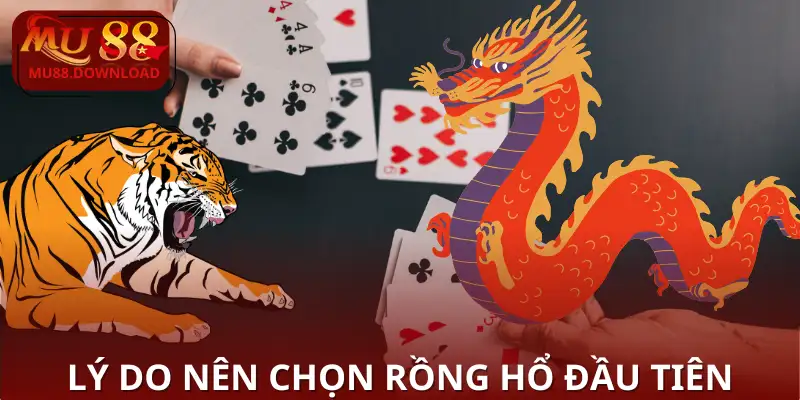 Lý do nên chọn Rồng Hổ đầu tiên
